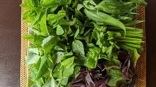 Fresh Herbs used in Vietnamese rice paper rolls (summer rolls)