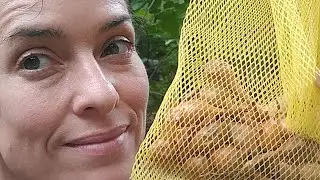 Late Summer Rain Gardening Session: Gardening with Kimberly