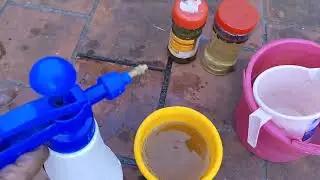 செலவே இல்லாத பூச்சி கொல்லி Substitute for Neem oil.