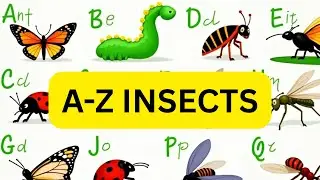 A-Z INSETCS RHYMES FOR KIDS//NURSERY RHYMES/Learn Insects with Fun Songs and Rhymes
