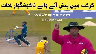 10 Unlucky Dismissals in Cricket | کرکٹ میں پیش آنے والے 10 واقعا| UrduHindi  |World Info Tv