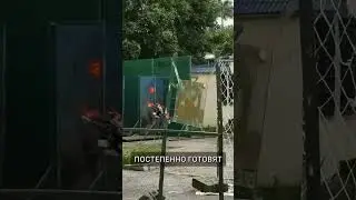Китайские военные тщательно анализируют ход войны на Украине