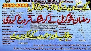 Sugarcane rate in Pakistan 2023 update | Punjab Sugarcane mill rate|Sindh mills sugarcane rate today