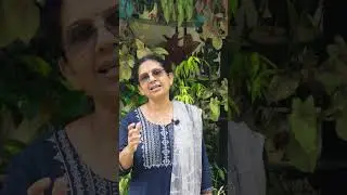 Organic Pesticide For Healthy Plants | Pest Control