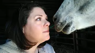 Vlog 1 of 2021 ~ an exciting opportunity