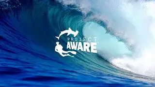Фонд Project AWARE подводит итоги 2018 года