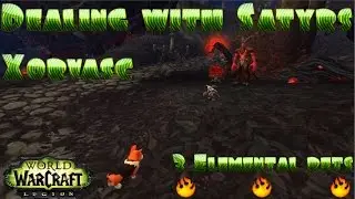Xorvasc 3 Elemental Pets | Family Familiar | Ragnaros, Watch and Learn | Legion Achievement