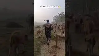 narendra modi #shorts#youtubeshorts#feedshorts#cb singh