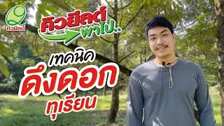 คิวยีลด์พาไป 09 : เทคนิคการดึงดอกทุเรียน คิวโมลิบ4+ คิว พี แซด