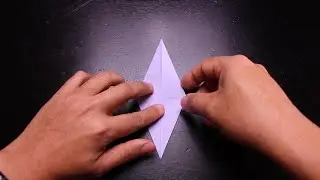Origami - Bird base