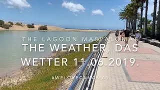 4K Gran Canaria Weather The Lagoon Maspalomas 11.06.2019. Daily new from another place.