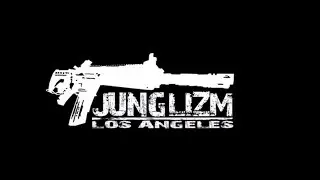 Rez 毎日JUNGLIST - Junglizm Mix Series