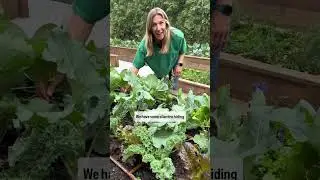 If you&rsquo;re growing a garden this summer, you&rsquo;ve got to see this ✨magical✨garden #garden #tour #plants