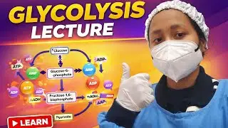 Glycolysis ( metabolism of carbohydrates part-2) 