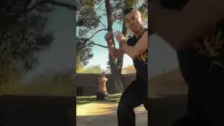 Southern tiger Kung fu tutorial / 虎拳教学