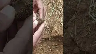 Magnetic Soil and Iron Ore: Unlocking the Secrets to Finding Iron Ore Anywhere