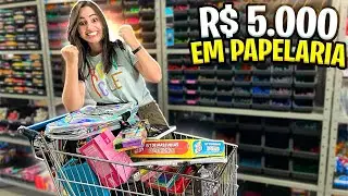 SEPARANDO 5 MIL REAIS EM PAPELARIA | PAPELARIA ART PEL