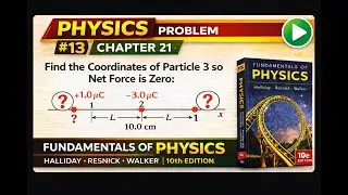 | Chapter 21 Problem #13 | Fundamentals of Physics (Halliday Resnick Walker) | Belief physics