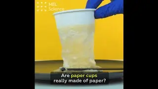 Are paper cups really made of paper?