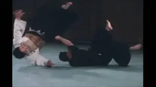 Takagi Ryu Jujutsu & Kukishin Ryu Bojutsu
