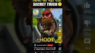 Free fire new pet hoot
