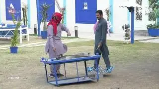 عودة عثمان الجنيبي للمنتجع بمقلب مضاربه مع هندي #البزنس40