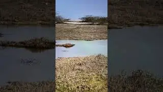 اقرأ سورة مريم للزواج
