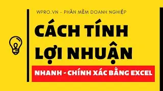 Cách tính lợi nhuận, Mẫu báo cáo lợi nhuận và 2 sai lầm chính khi tính lợi nhuận