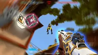 When you have perfect crosshair placement...