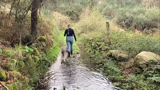 #22 Those aren&rsquo;t Raindrops They&rsquo;re Tears - Off Grid Experiment Portugal