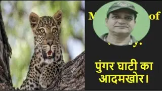 पुंगर घाटी का आदमख़ोर तेंदुवा। Man-eating leopard of Pungar Valley. Lakhpat Singh Rawat. Hunting