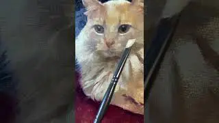 #ARTTIPS - Painting Cat Whiskers