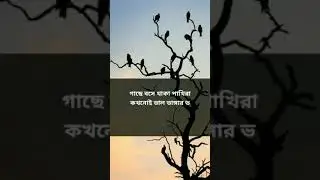 Motivational video in bengali || Motivational shorts || whatsapp status video || #shorts