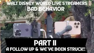 Плохое поведение стримеров Walt Disney World. Часть II