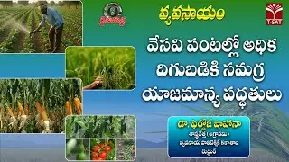 🌾 రైతుమిత్ర వ్యవసాయం | వేసవి పంటల్లో అధిక దిగుబడికి సమగ్ర యాజమాన్య పద్ధతులు | డా. ఫిరోజ్ షాహానా