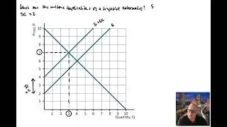 CEI04 09 Welfare Implication of a Negative Externality