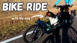 Cargo Bike Dog Adventure: Fall Ride at Bear Creek Lake Park, Colorado