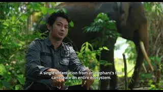 Official Trailer | Berbagi Ruang untuk Bukit Tigapuluh