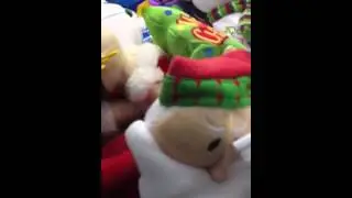 1st claw trip at Wally World