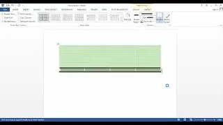 TABLE IN MS WORD
