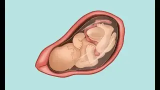 Symptoms Of Baby Turning Head Down In Womb | Symptoms of baby's head coming down in pregnancy