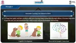 3  Principles guiding the ECCE framework (ECCE)