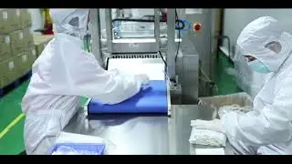 Sterile Nylon Flocked Sampling Collection Swab - Factory Visit