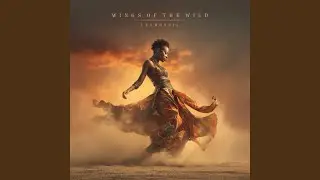Wings of the Wild