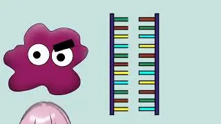 Group 4 Animation on DNA Replication || Cell & Molecular Biology
