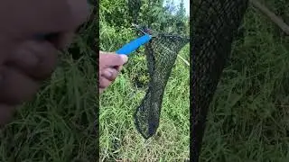 Hanap tayo masarap na pulutan
