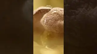 Est&eacute;e Lauder Re-Nutriv Commercial (Part 4/5)