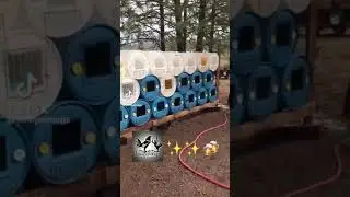 Recycle Plastic drum to chicken rearing at Home                                     .