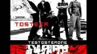 Tosteer Zamykasz Oczy