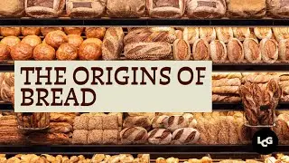 The origins of bread